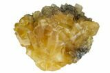 Yellow Calcite Crystal Cluster - Fluorescent! #124852-1